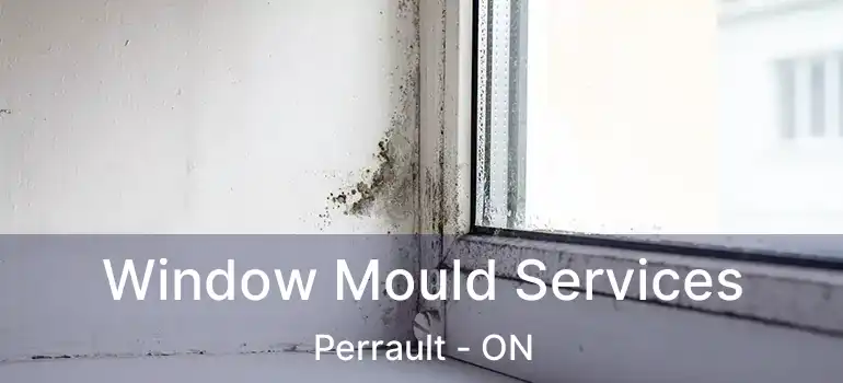  Window Mould Services Perrault - ON