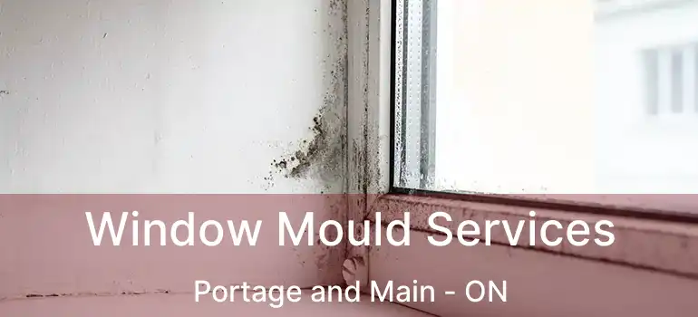  Window Mould Services Portage and Main - ON