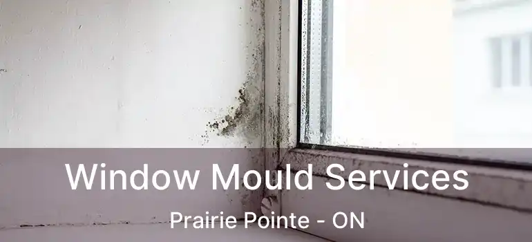  Window Mould Services Prairie Pointe - ON