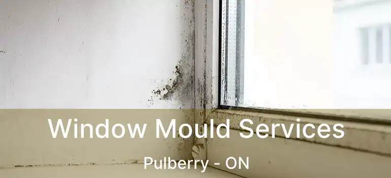  Window Mould Services Pulberry - ON