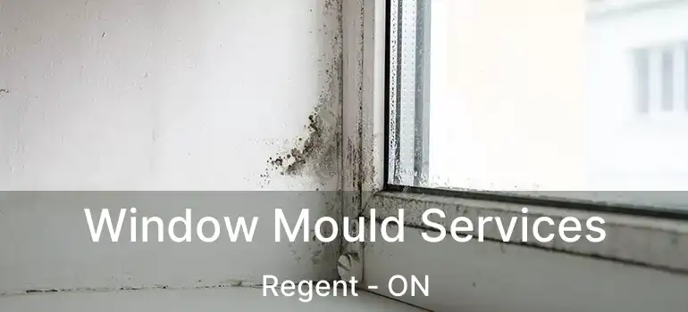  Window Mould Services Regent - ON