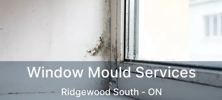  Window Mould Services Ridgewood South - ON