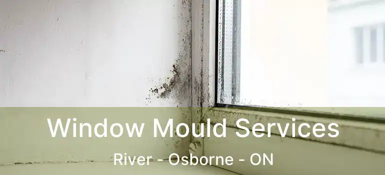  Window Mould Services River - Osborne - ON