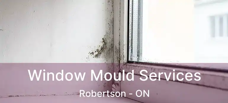  Window Mould Services Robertson - ON