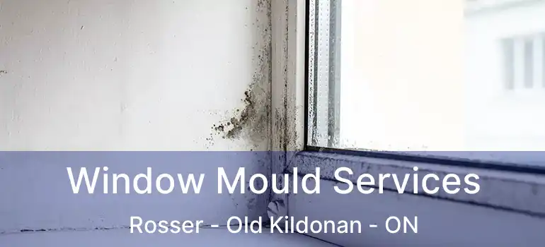  Window Mould Services Rosser - Old Kildonan - ON