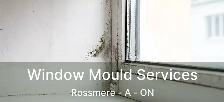 Window Mould Services Rossmere - A - ON