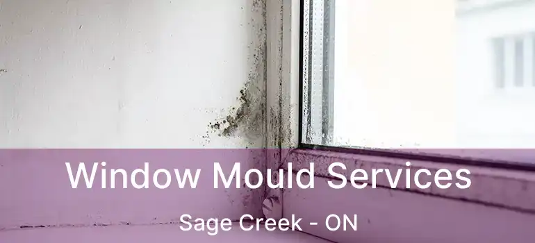  Window Mould Services Sage Creek - ON