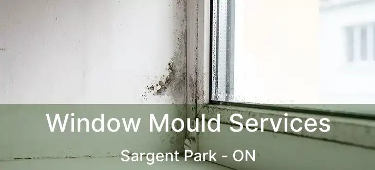  Window Mould Services Sargent Park - ON