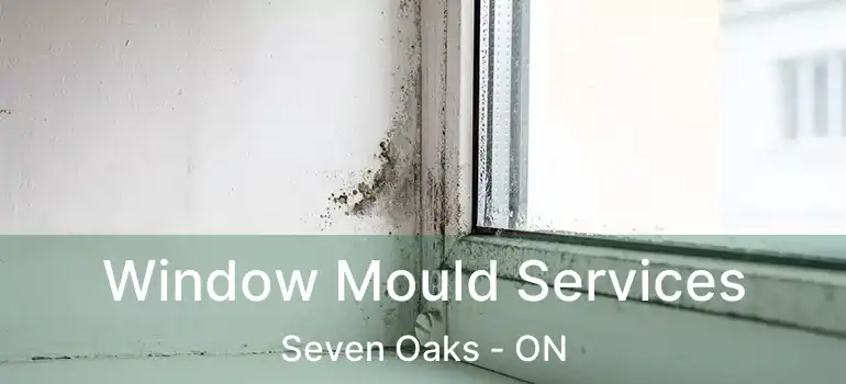  Window Mould Services Seven Oaks - ON