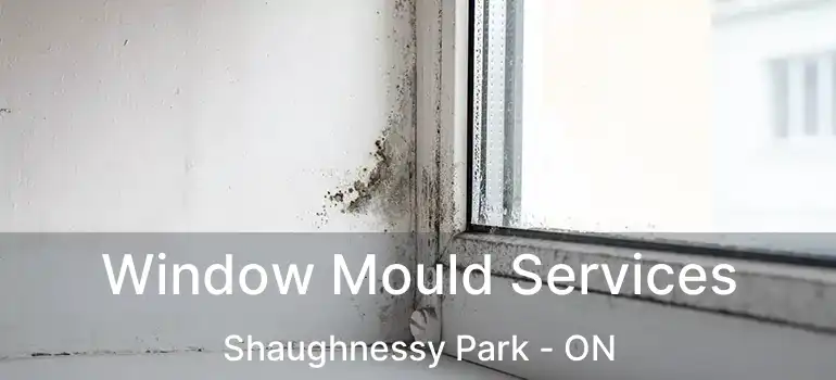  Window Mould Services Shaughnessy Park - ON