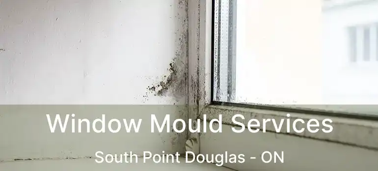  Window Mould Services South Point Douglas - ON