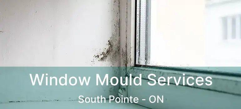  Window Mould Services South Pointe - ON