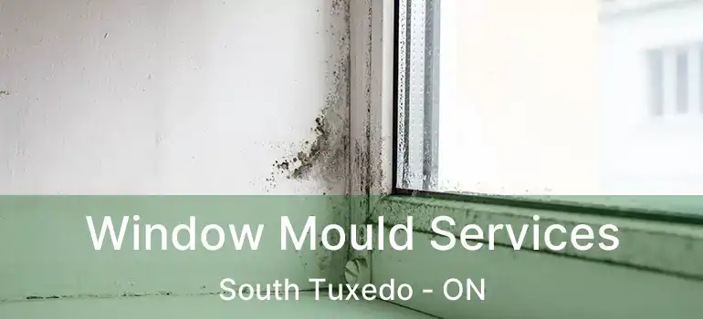  Window Mould Services South Tuxedo - ON
