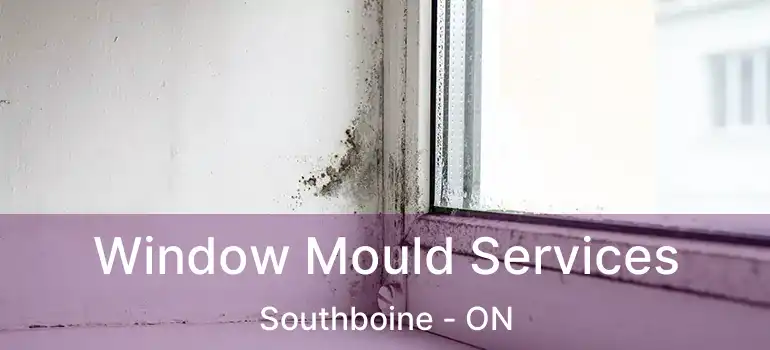  Window Mould Services Southboine - ON