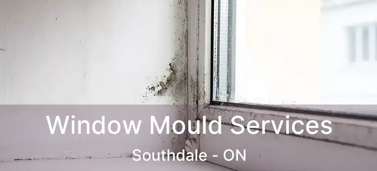  Window Mould Services Southdale - ON