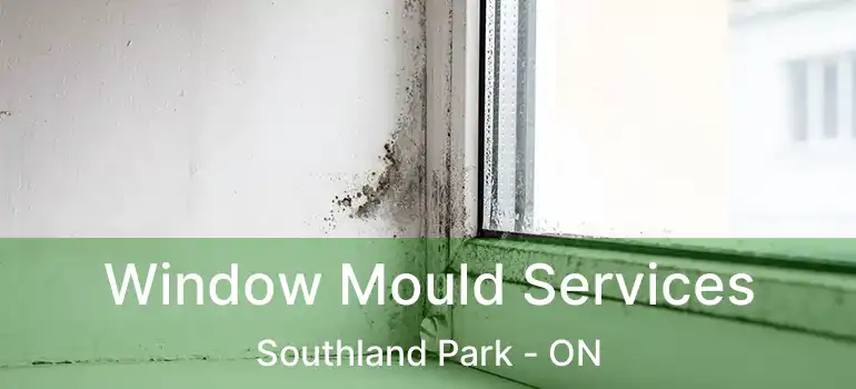  Window Mould Services Southland Park - ON