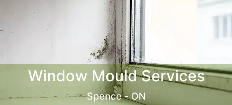  Window Mould Services Spence - ON