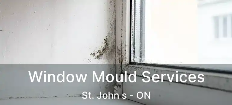  Window Mould Services St. John s - ON