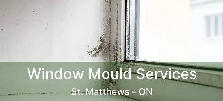  Window Mould Services St. Matthews - ON
