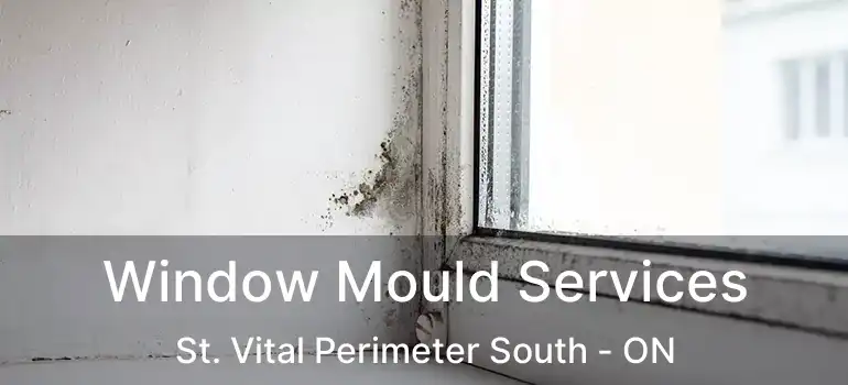  Window Mould Services St. Vital Perimeter South - ON