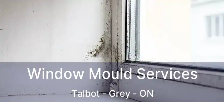  Window Mould Services Talbot - Grey - ON