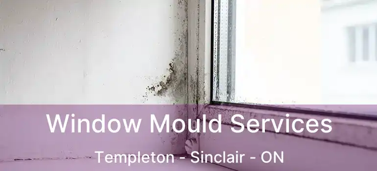  Window Mould Services Templeton - Sinclair - ON