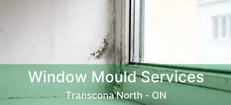  Window Mould Services Transcona North - ON