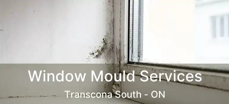  Window Mould Services Transcona South - ON