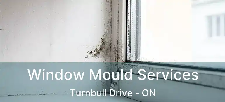  Window Mould Services Turnbull Drive - ON