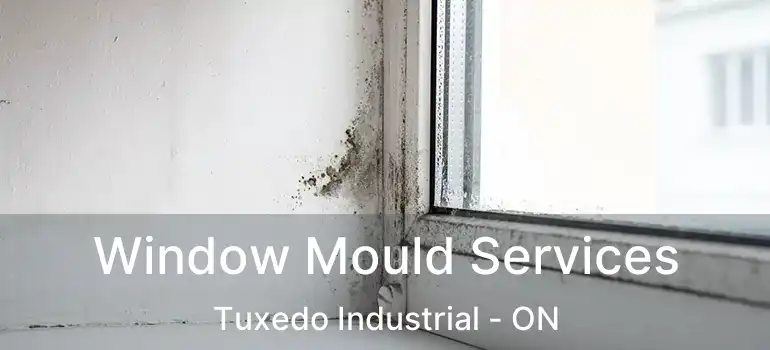 Window Mould Services Tuxedo Industrial - ON