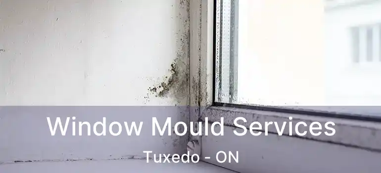  Window Mould Services Tuxedo - ON
