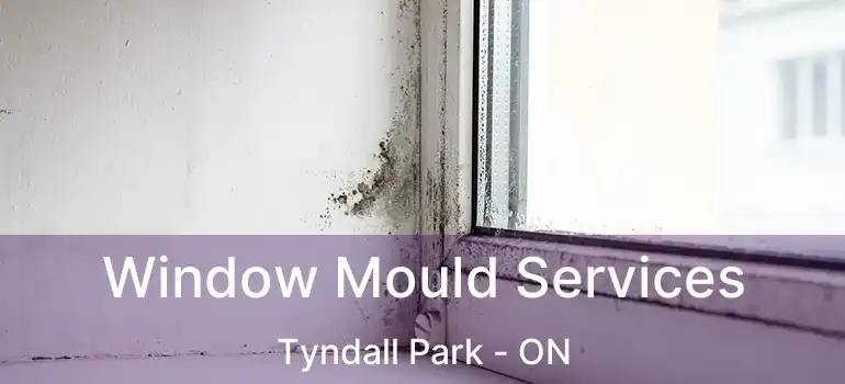  Window Mould Services Tyndall Park - ON
