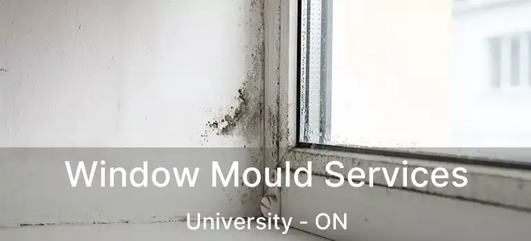  Window Mould Services University - ON