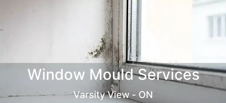  Window Mould Services Varsity View - ON