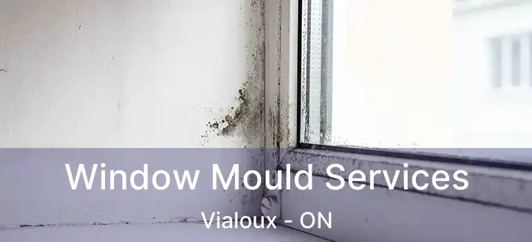  Window Mould Services Vialoux - ON