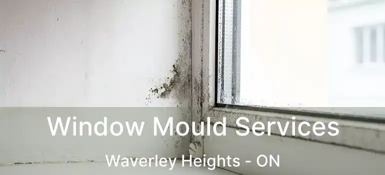  Window Mould Services Waverley Heights - ON