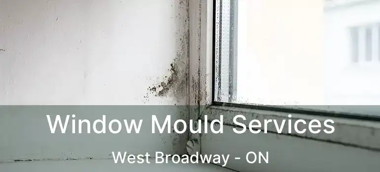  Window Mould Services West Broadway - ON