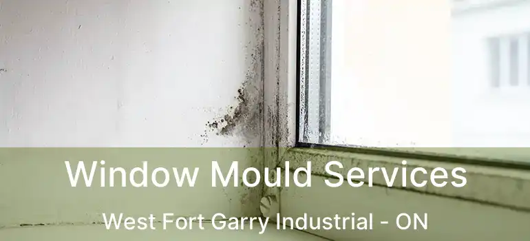  Window Mould Services West Fort Garry Industrial - ON