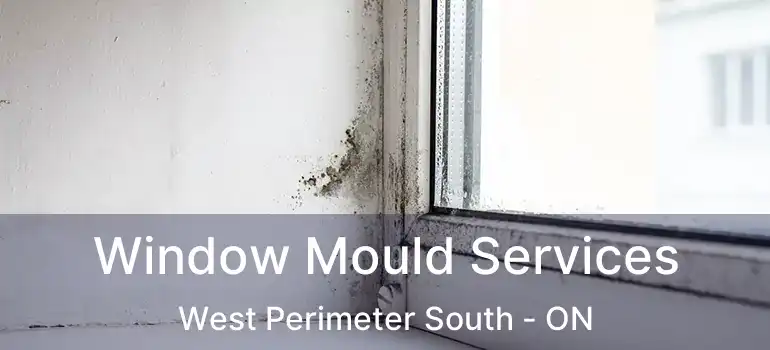 Window Mould Services West Perimeter South - ON