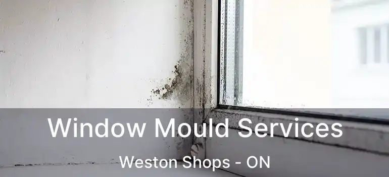  Window Mould Services Weston Shops - ON