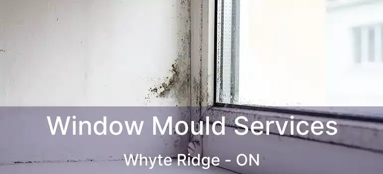  Window Mould Services Whyte Ridge - ON