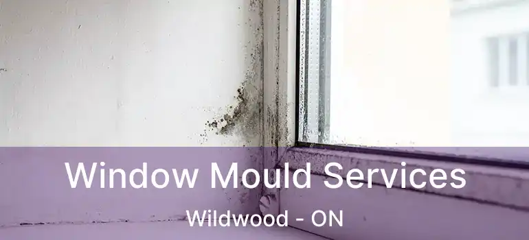  Window Mould Services Wildwood - ON