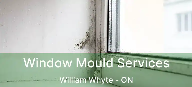  Window Mould Services William Whyte - ON