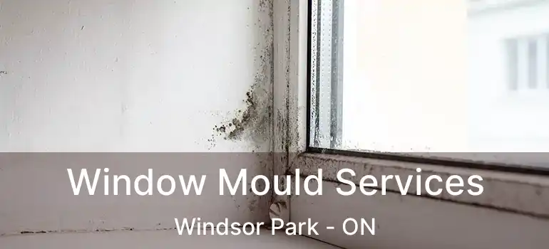  Window Mould Services Windsor Park - ON