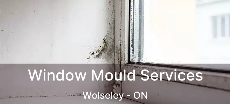  Window Mould Services Wolseley - ON
