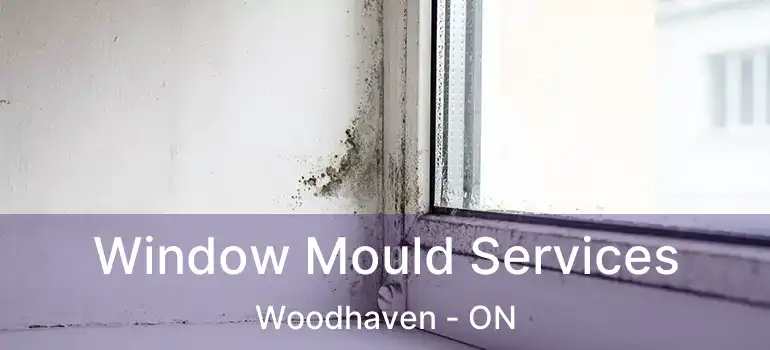  Window Mould Services Woodhaven - ON