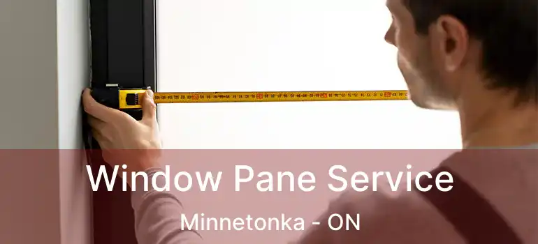  Window Pane Service Minnetonka - ON