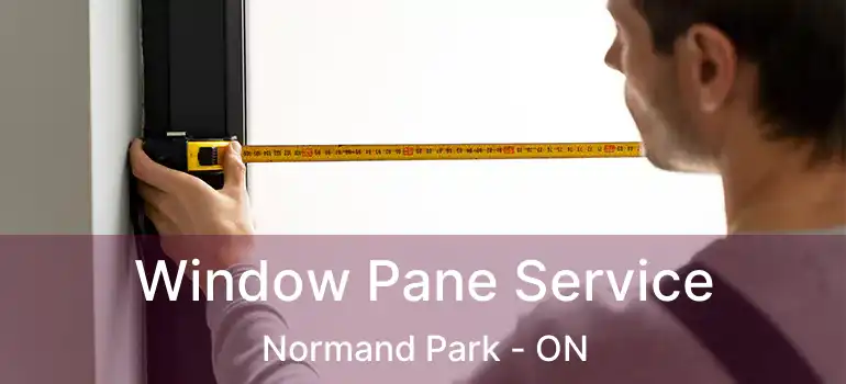  Window Pane Service Normand Park - ON