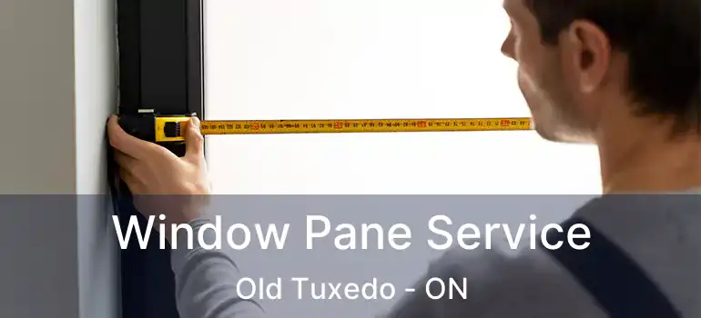  Window Pane Service Old Tuxedo - ON