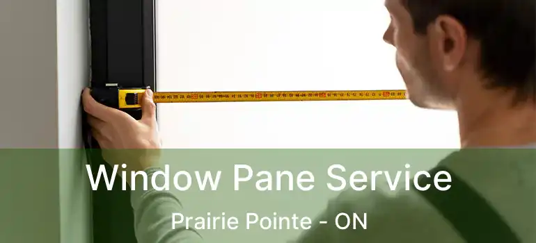  Window Pane Service Prairie Pointe - ON